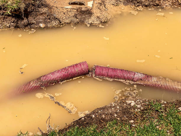 Best Water damage restoration experts  in Seminole, FL
